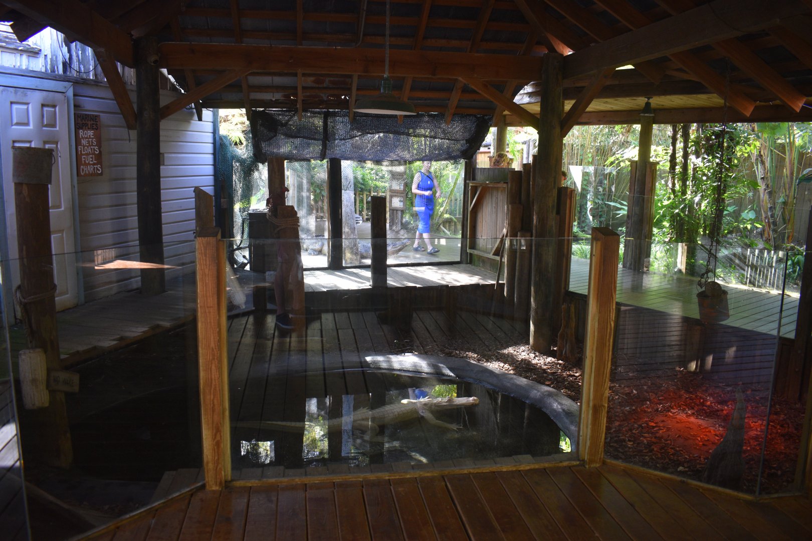 Jul. 2025 - Albino Alligator Exhibit