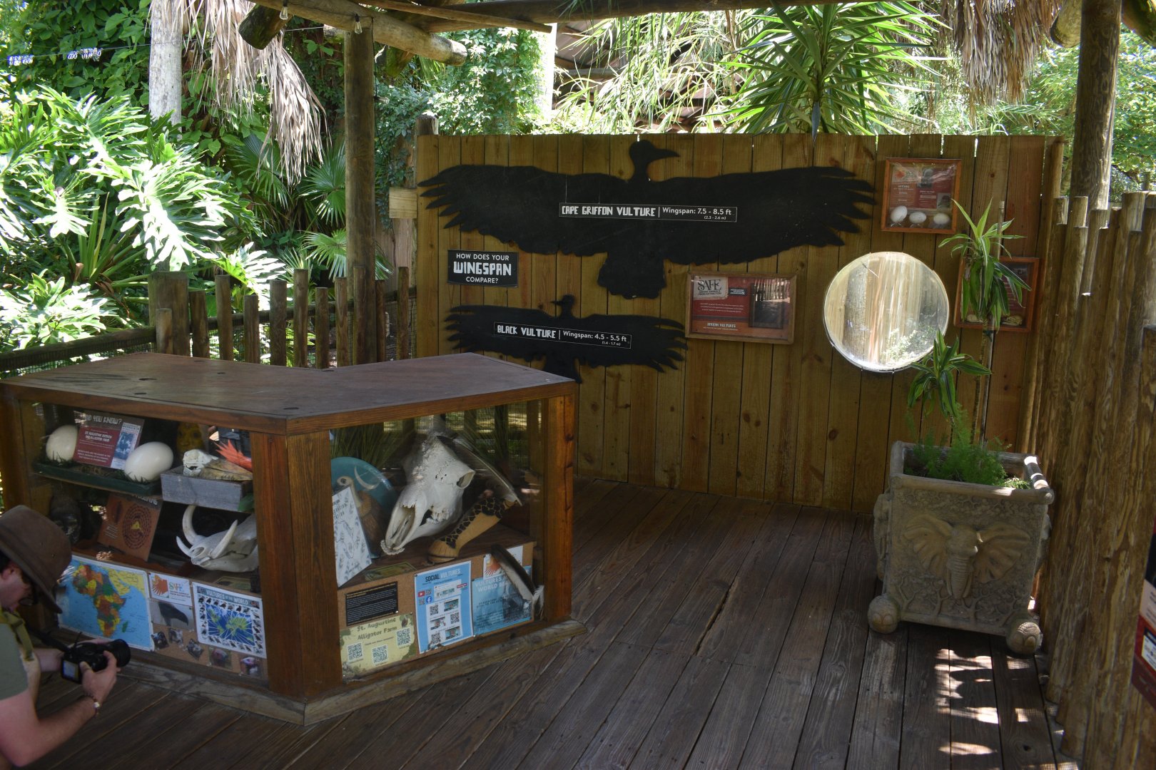 Jul. 2025 - Birds of Africa Signage