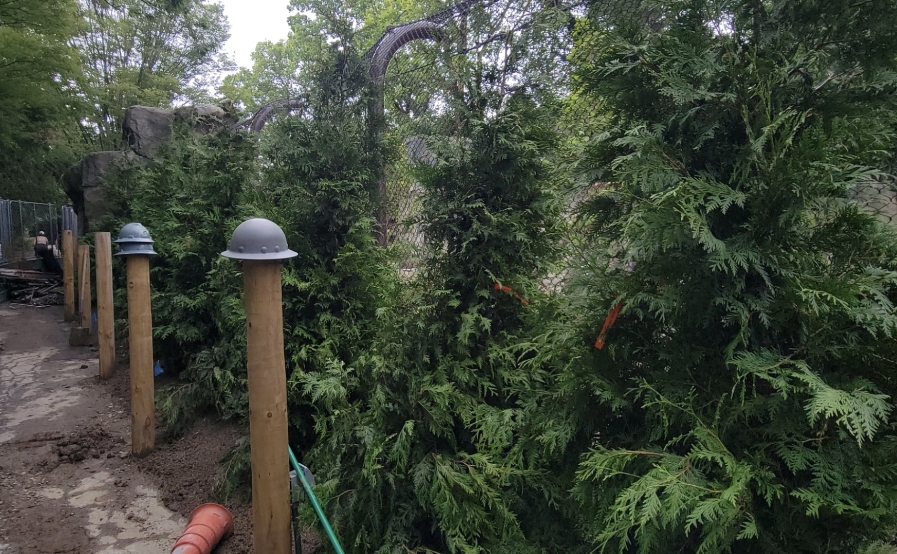 Jul. 2025 - Black Bear Ridge Construction Update (Added Arbs)