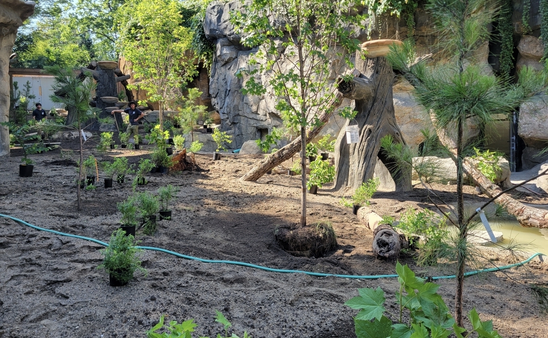 Jul. 2025 - Black Bear Ridge Construction Update (Plants)