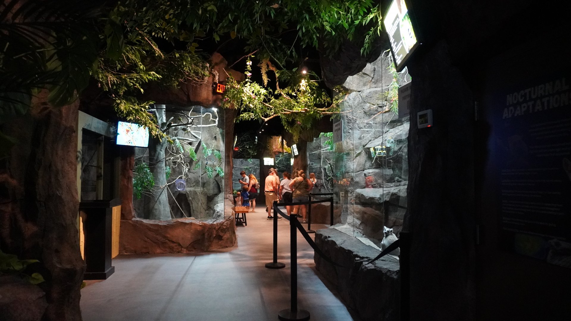 Jul. 2025 - Daytona Aquarium & Rainforest Adventure - Rainforest Hallway