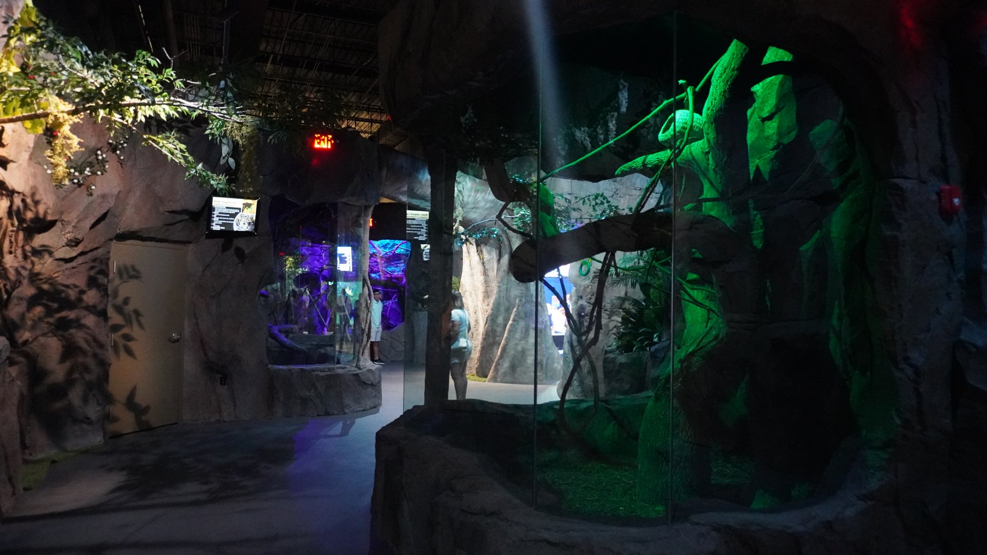 Jul. 2025 - Daytona Aquarium & Rainforest Adventure - Rainforest - Night Monkey Exhibit (Facing Entrance)