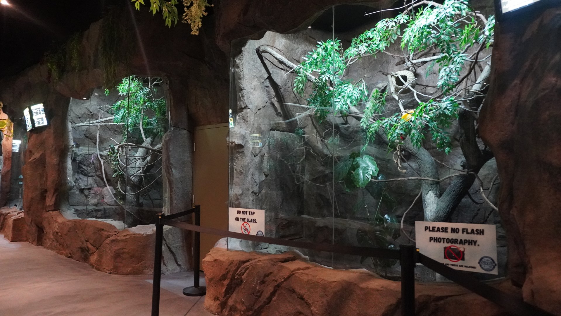 Jul. 2025 - Daytona Aquarium & Rainforest Adventure - Rainforest - Two Exhibits