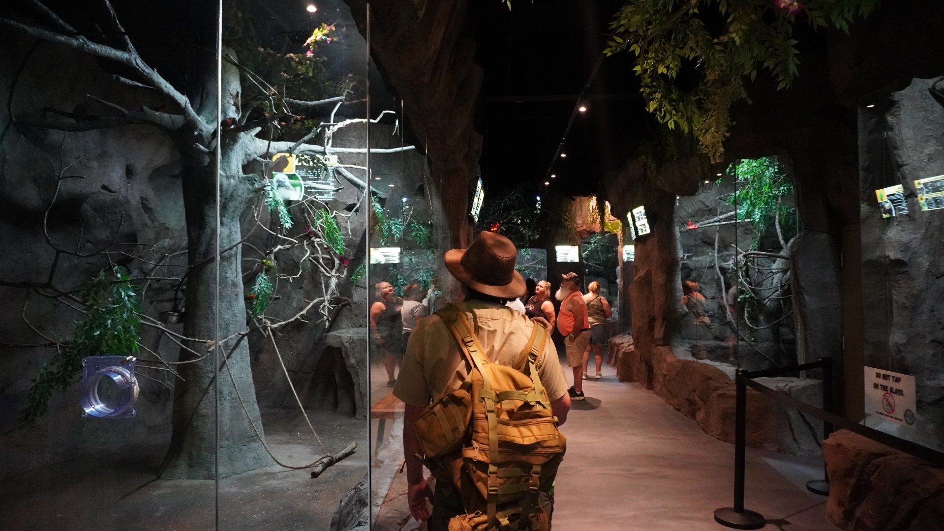 Jul. 2025 - Daytona Aquarium & Rainforest Adventure - Rainforest