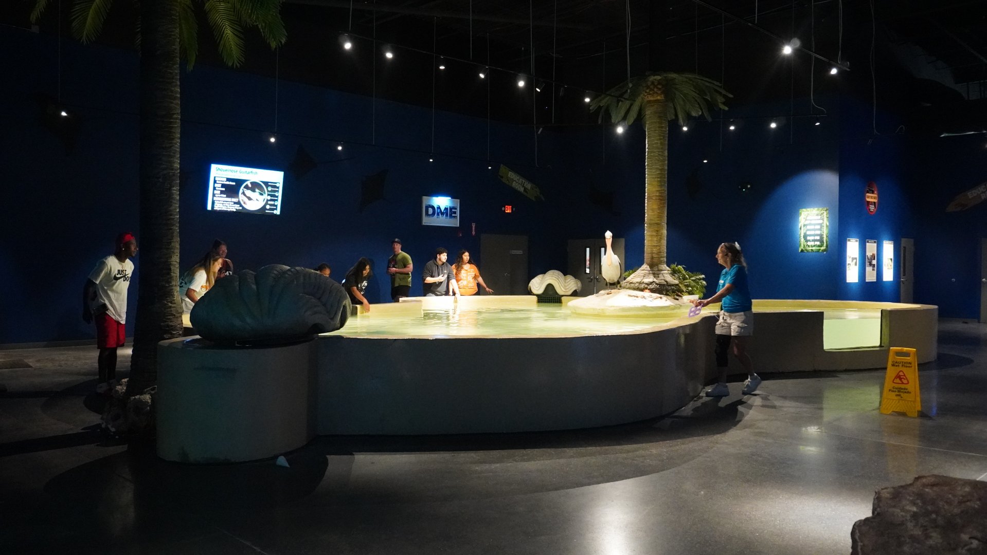 Jul. 2025 - Daytona Aquarium & Rainforest Adventure - Ray Bay