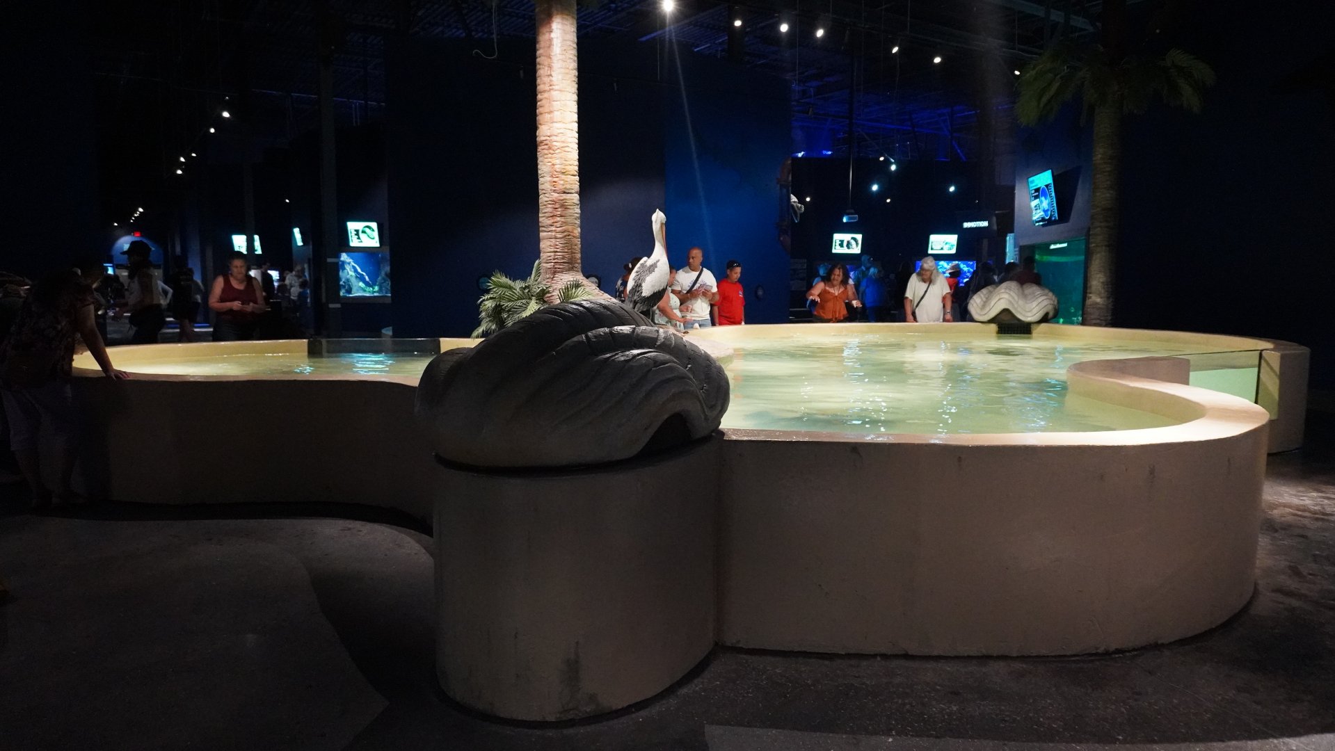 Jul. 2025 - Daytona Aquarium & Rainforest Adventure - Ray Bay