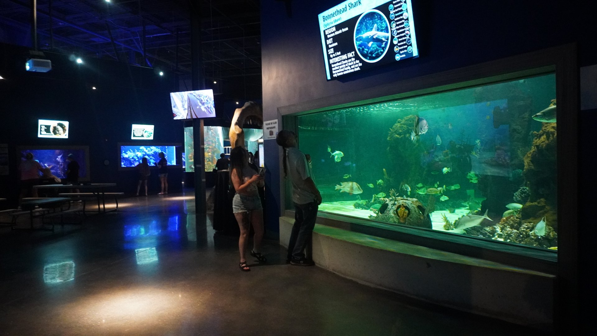 Jul. 2025 - Daytona Aquarium & Rainforest Adventure - Shark Reef