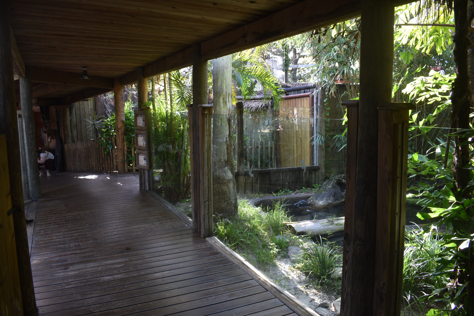 Jul. 2025 - Dwarf Caiman/Giant River Turtle/Yellow-spotted River Turtle Exhibit