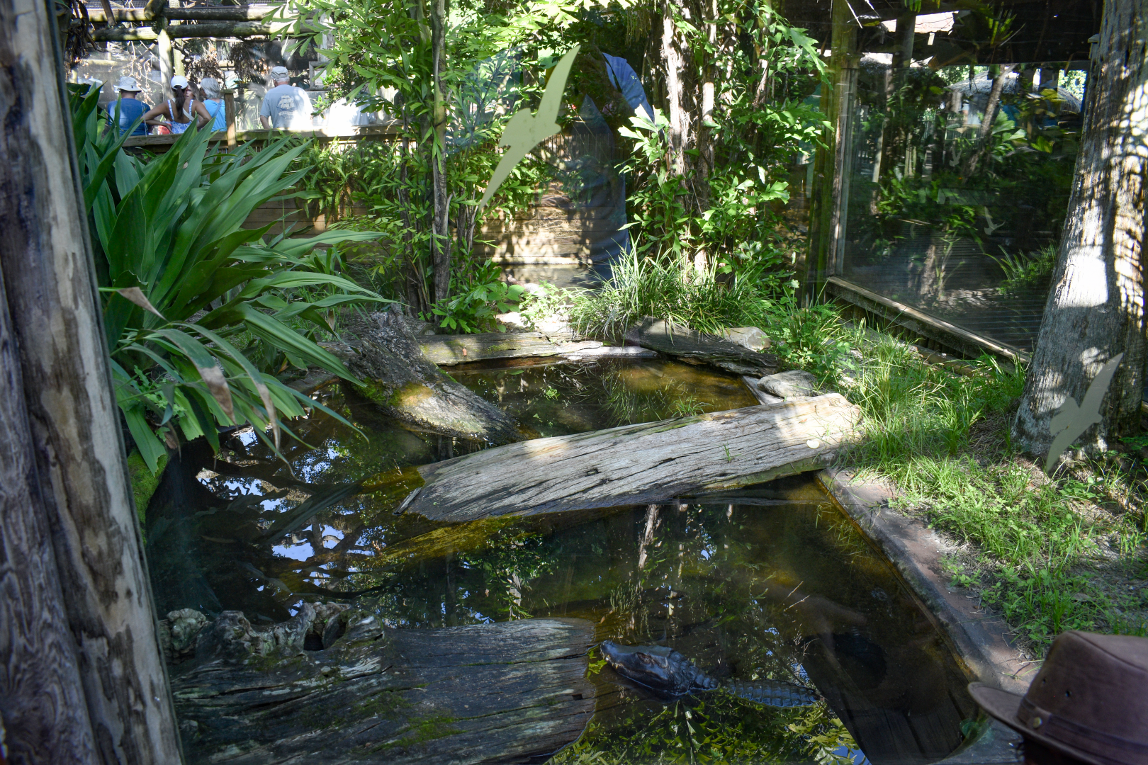 Jul. 2025 - Dwarf Caiman/Giant River Turtle/Yellow-spotted River Turtle Exhibit