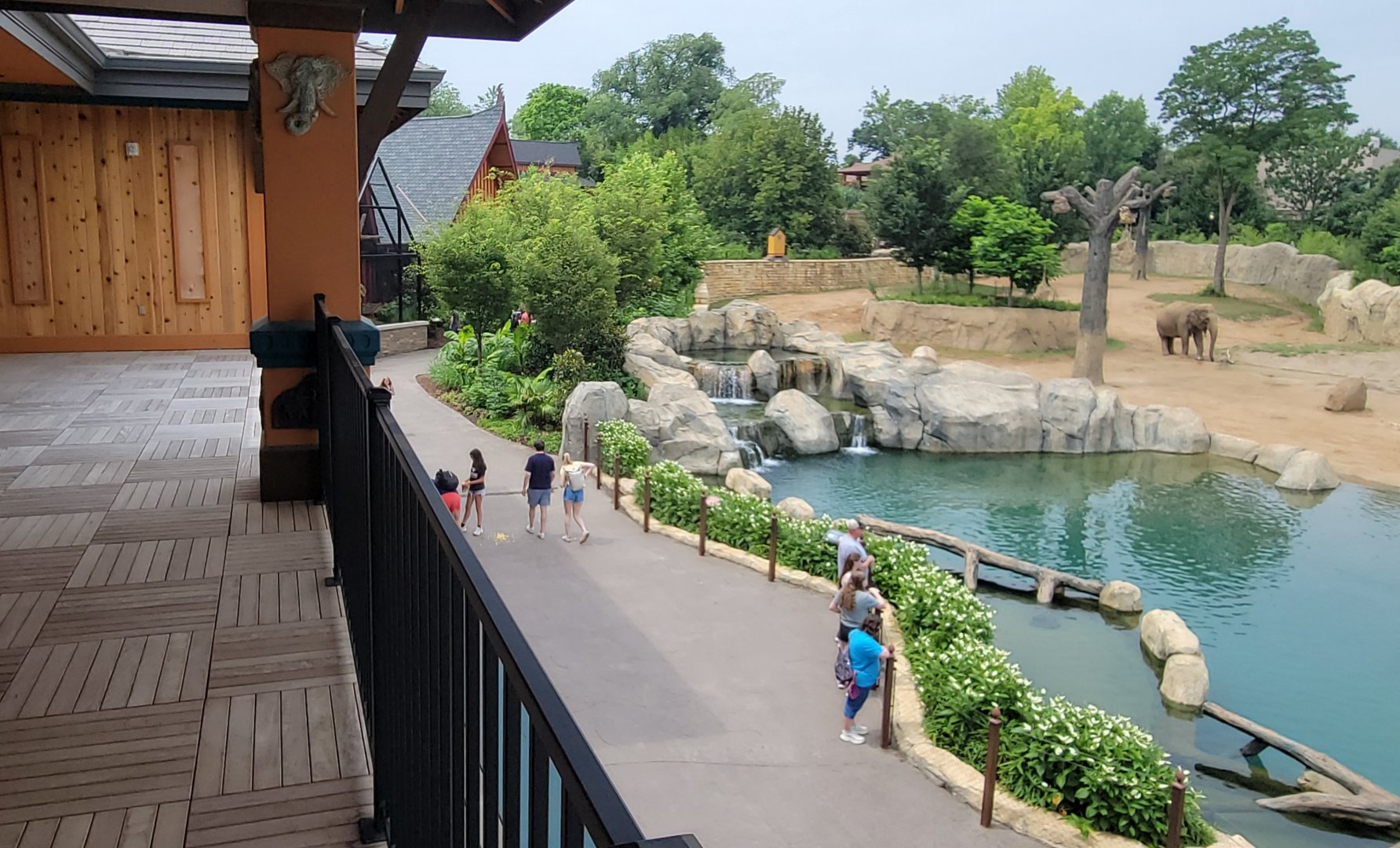 Jul. 2025 - Elephant Trek - Taken From Private Event Center