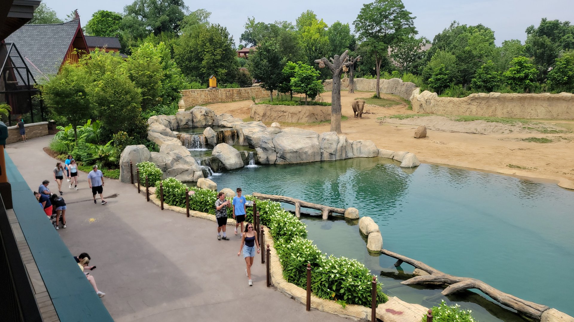 Jul. 2025 - Elephant Trek - Taken From Private Event Center