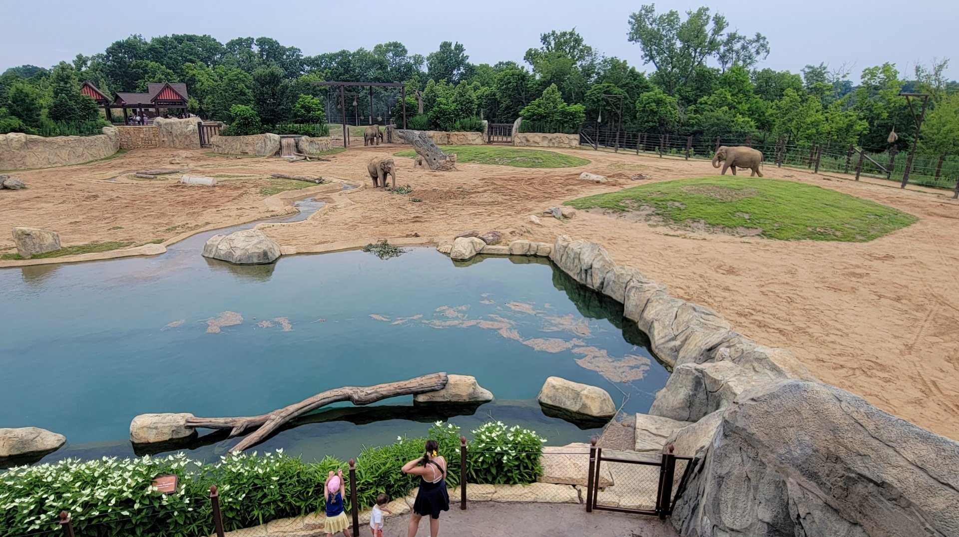 Jul. 2025 - Elephant Trek - Taken From Private Event Center