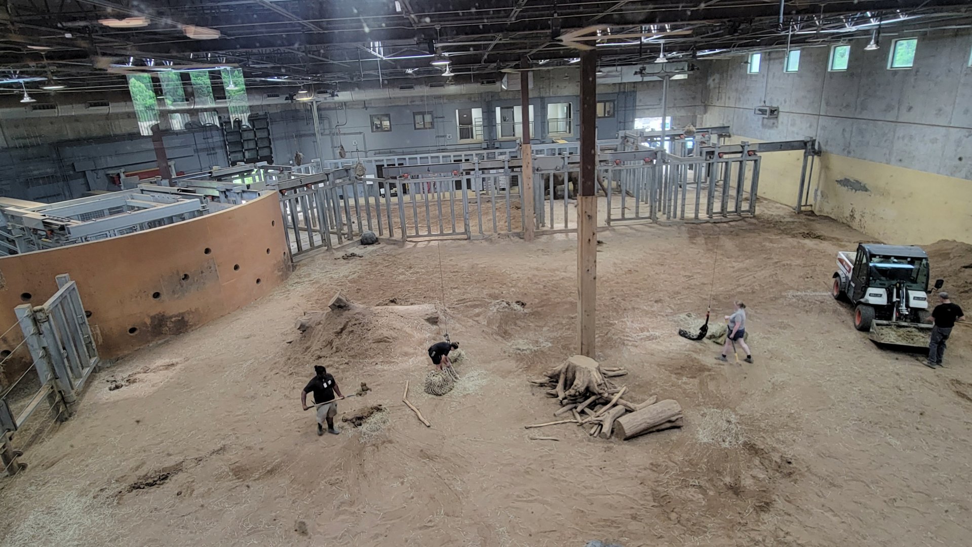 Jul. 2025 - Elephant Trek - Taken From Private Event Center