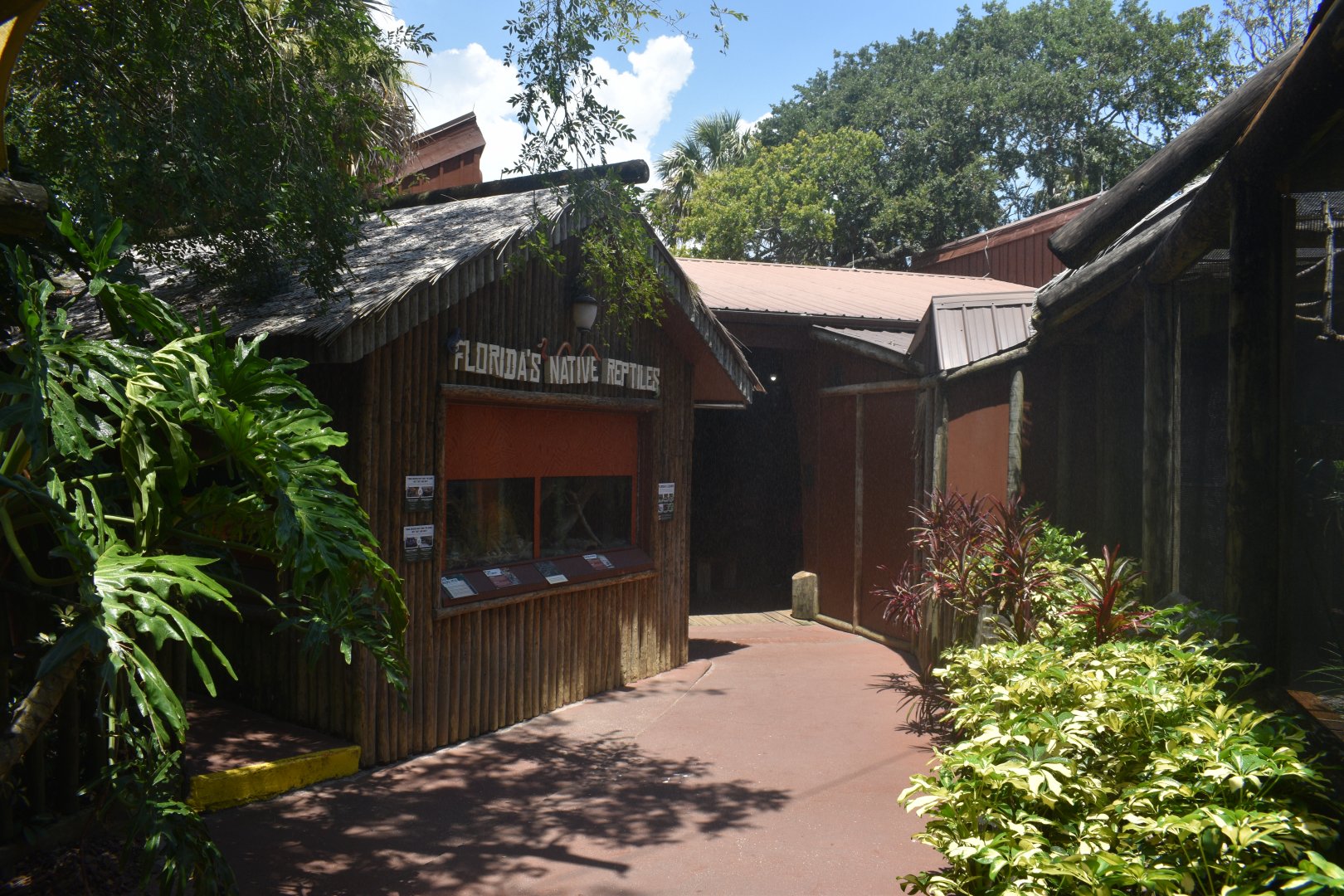 Jul. 2025 - Florida Native Reptiles