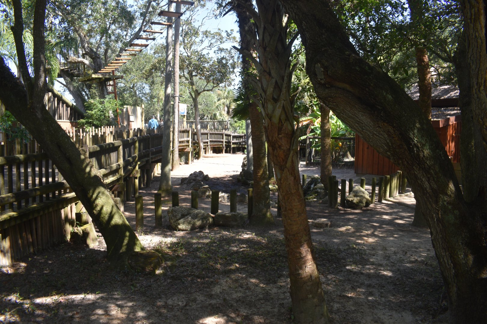 Jul. 2025 - Galapagos Tortoise Exhibit