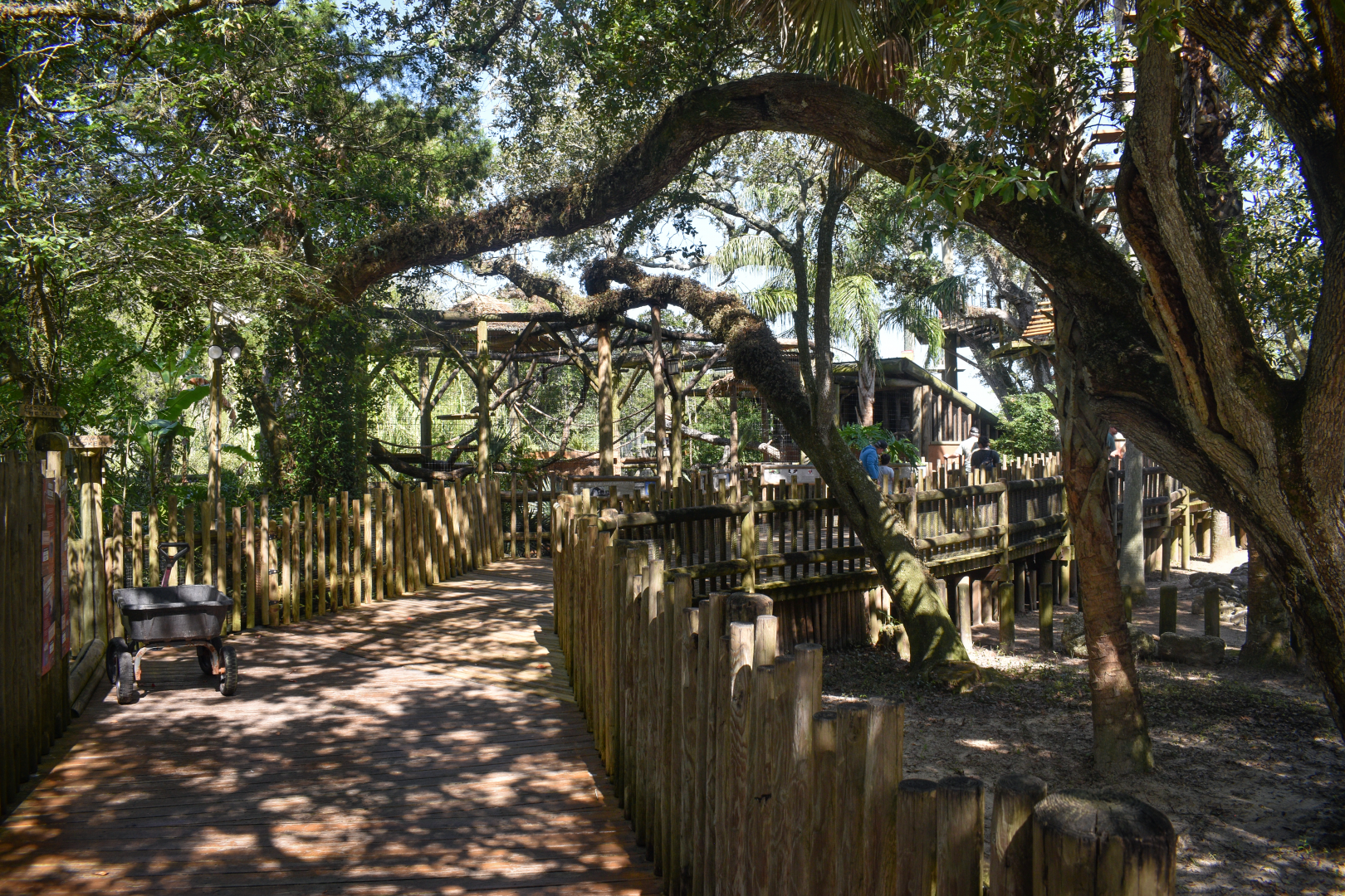 Jul. 2025 - Galapagos Tortoises & Lemurs of Madagascar