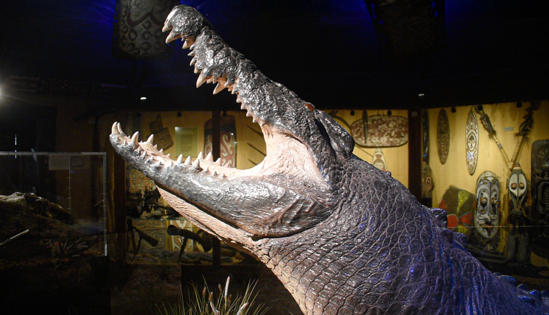 Jul. 2025 - Gomek Forever