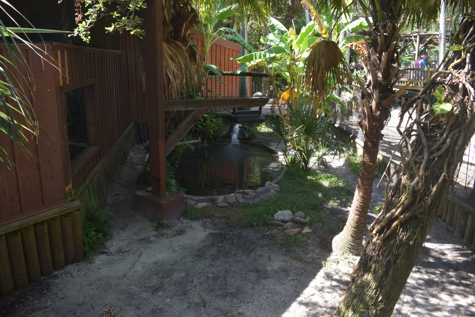 Jul. 2025 - Indian Gharial Exhibit by the Theater