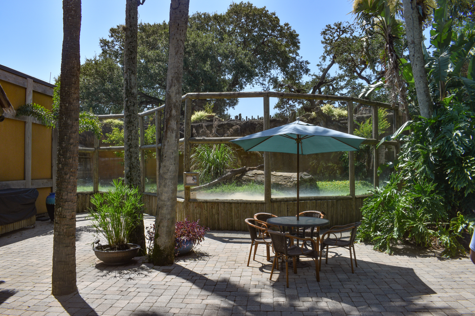 Jul. 2025 - KOMODO - Komodo Dragon Outdoor Exhibit