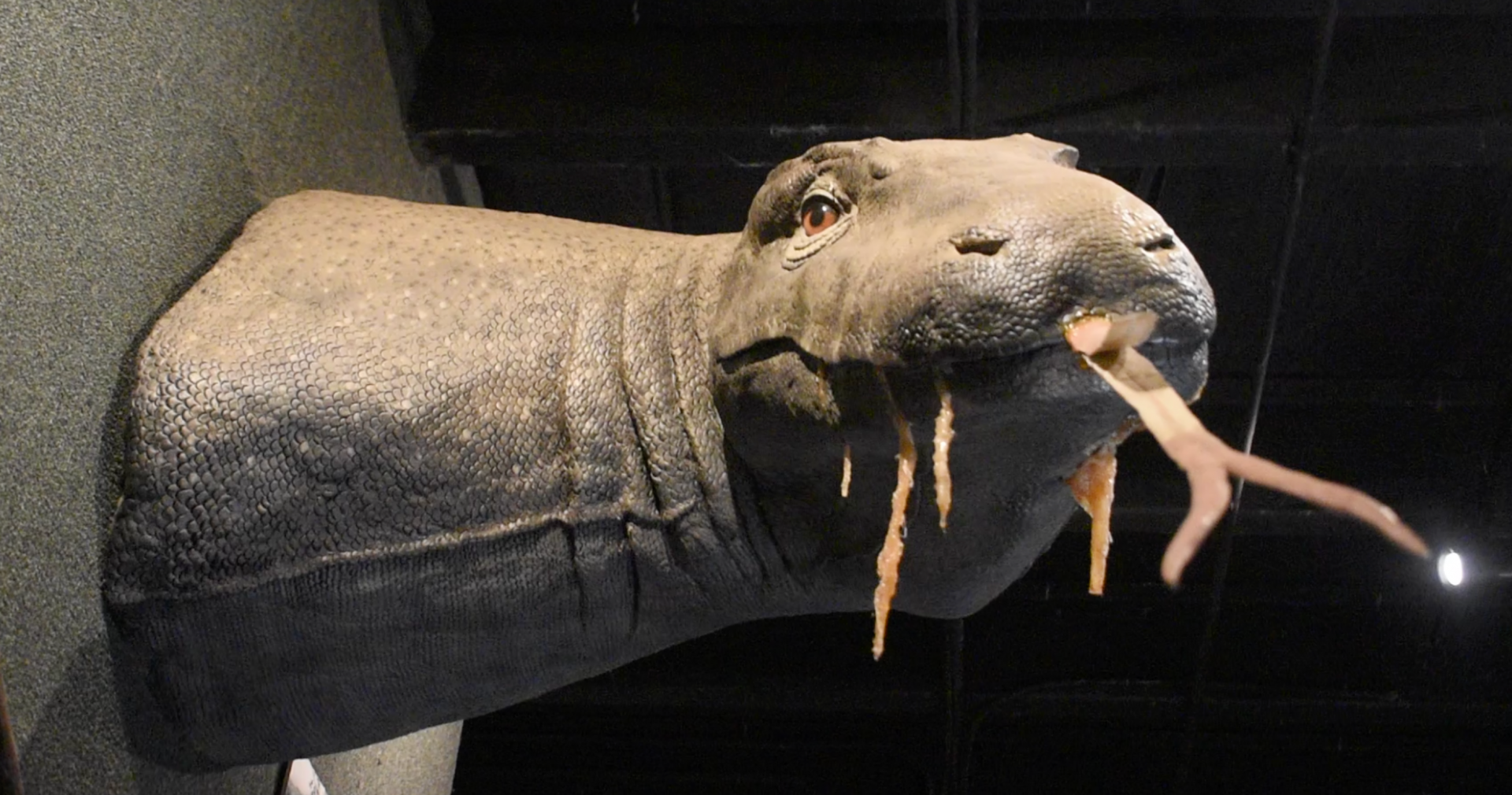 Jul. 2025 - KOMODO - Megalania