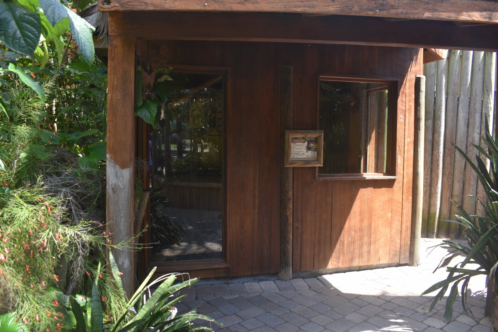 Jul. 2025 - KOMODO - Reticulated Python Exhibit