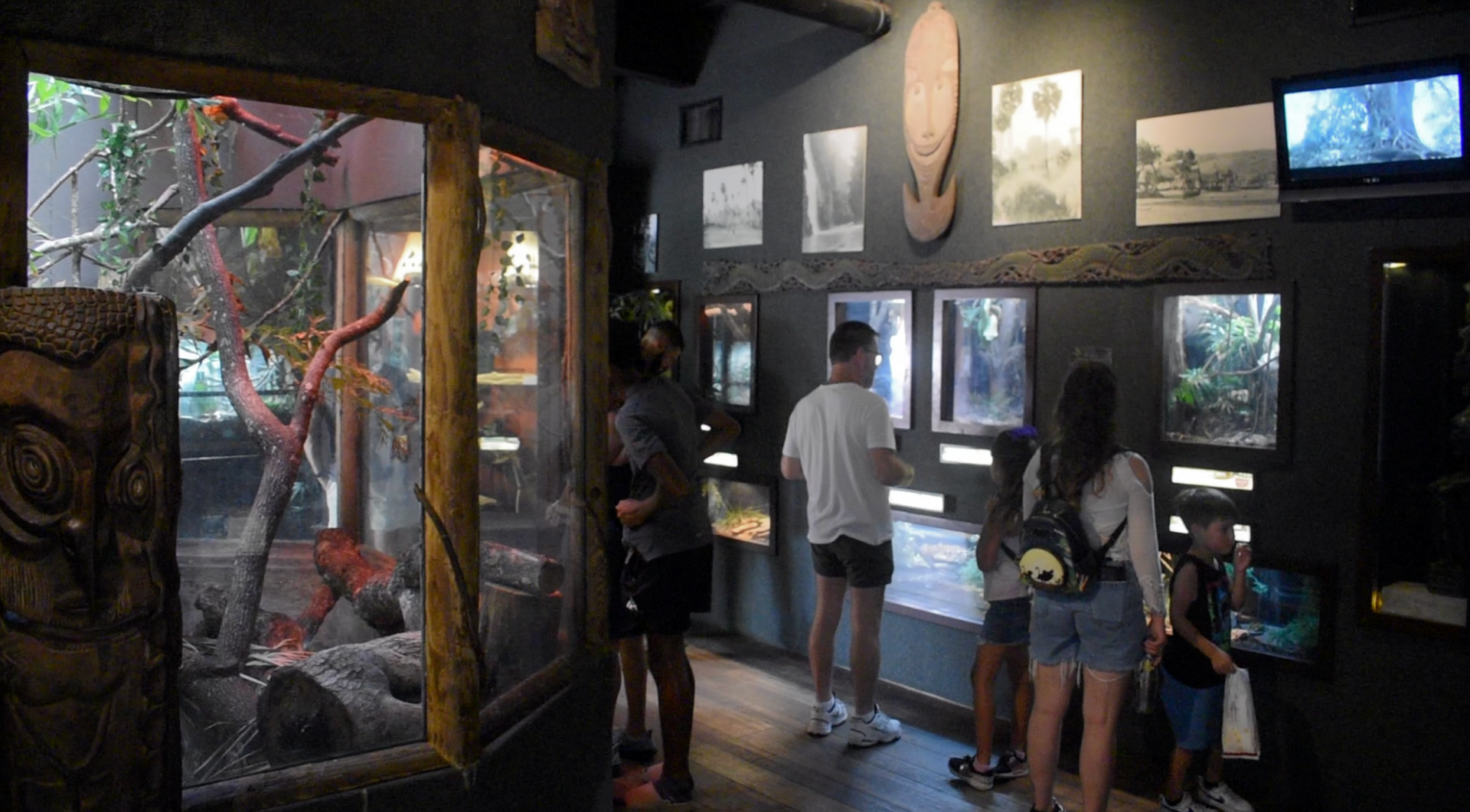 Jul. 2025 - KOMODO - Terrariums