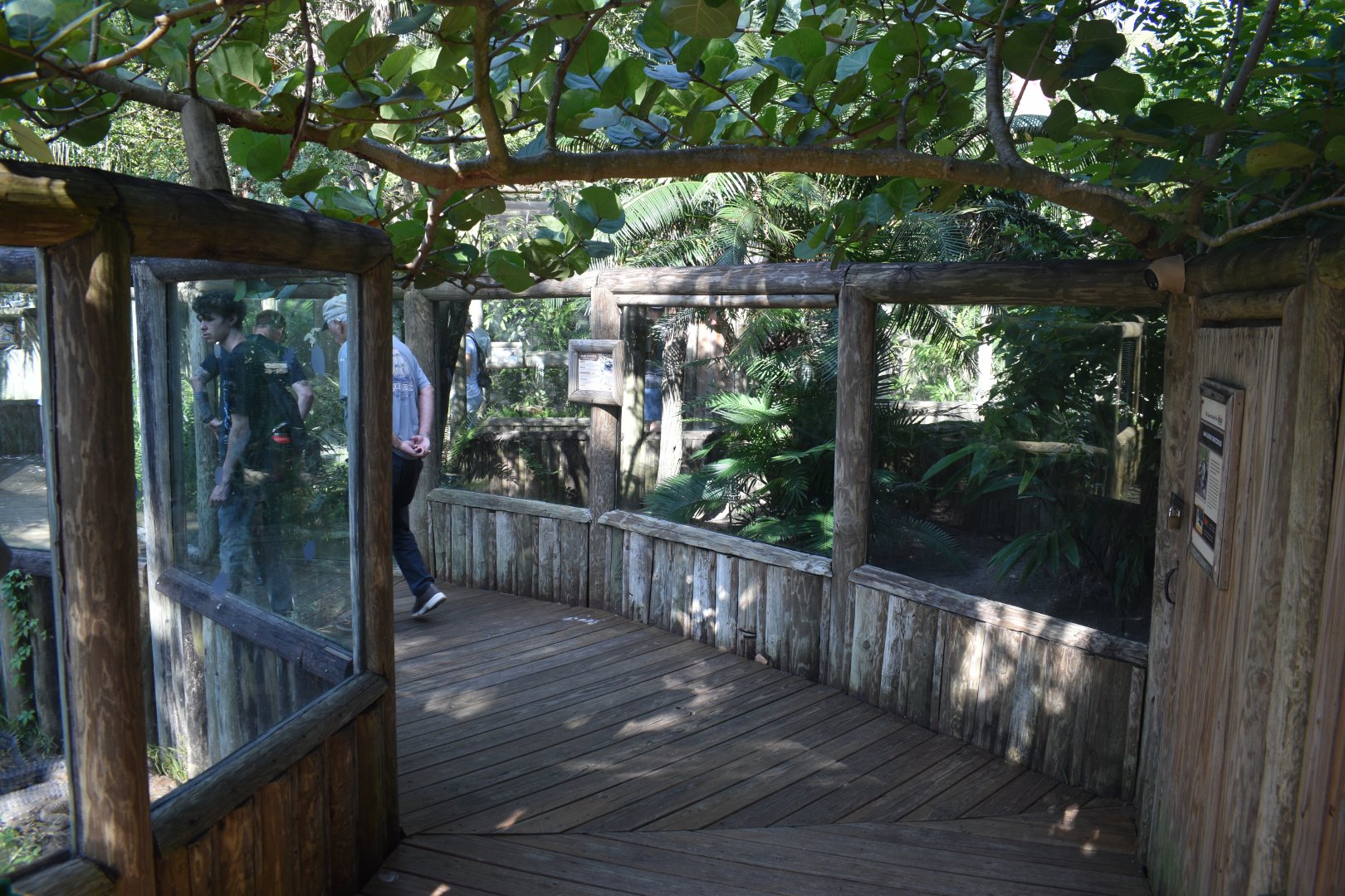 Jul. 2025 - Land of Crocodiles - Africa