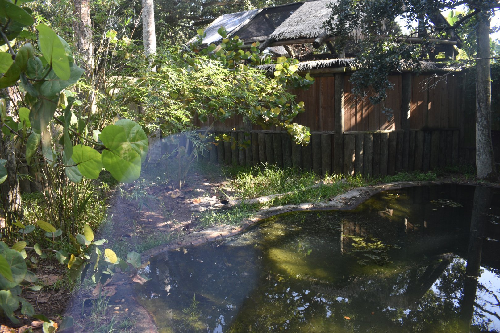 Jul. 2025 - Land of Crocodiles - American Crocodile Exhibit