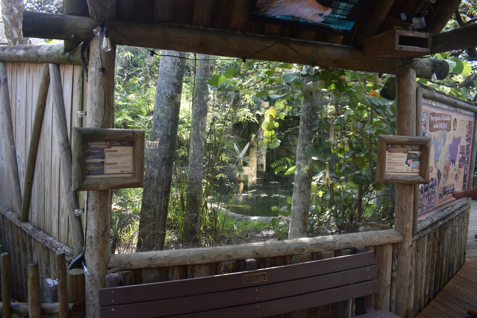 Jul. 2025 - Land of Crocodiles - American Crocodile Exhibit