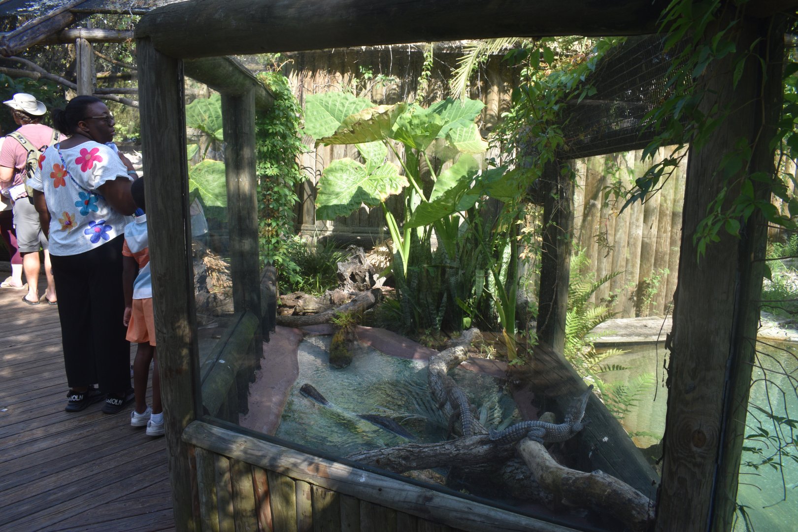 Jul. 2025 - Land of Crocodiles - Asia - Freshwater Crocodile/Southeast Asian Box Turtle Exhibit