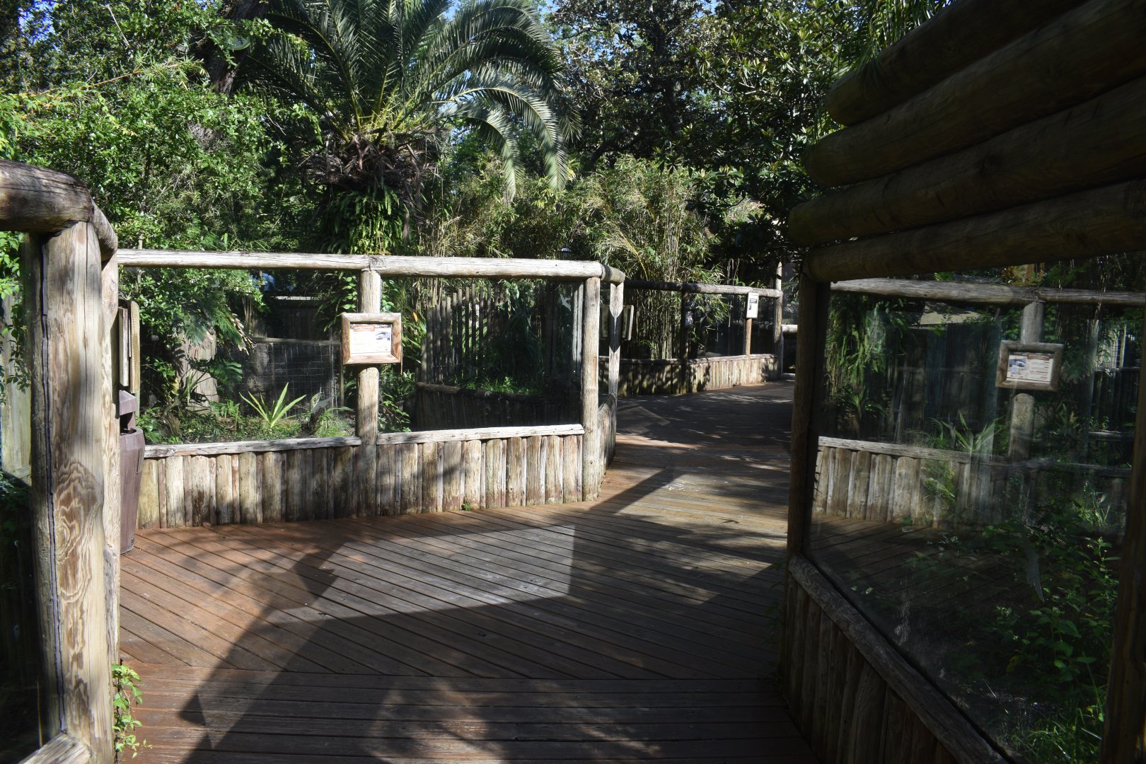 Jul. 2025 - Land of Crocodiles - Asia - General View