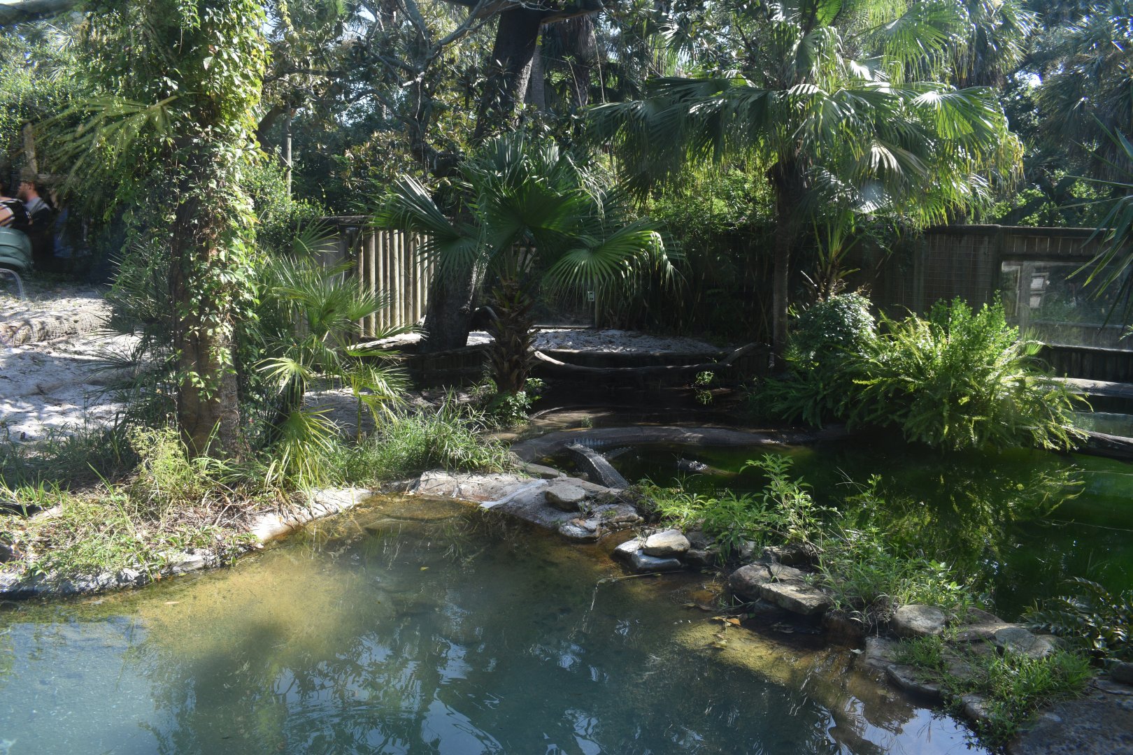 Jul. 2025 - Land of Crocodiles - Asia - Indian Gharial Exhibit