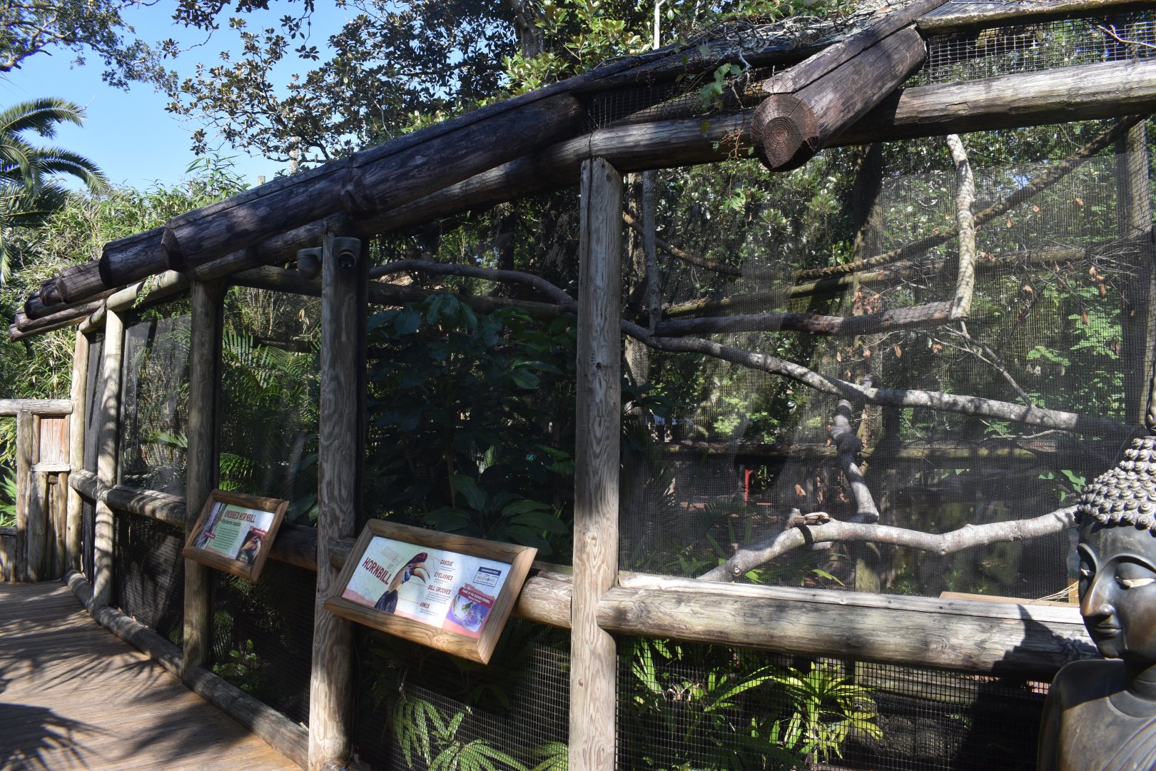 Jul. 2025 - Land of Crocodiles - Asia - Knobbed Hornbill Exhibit