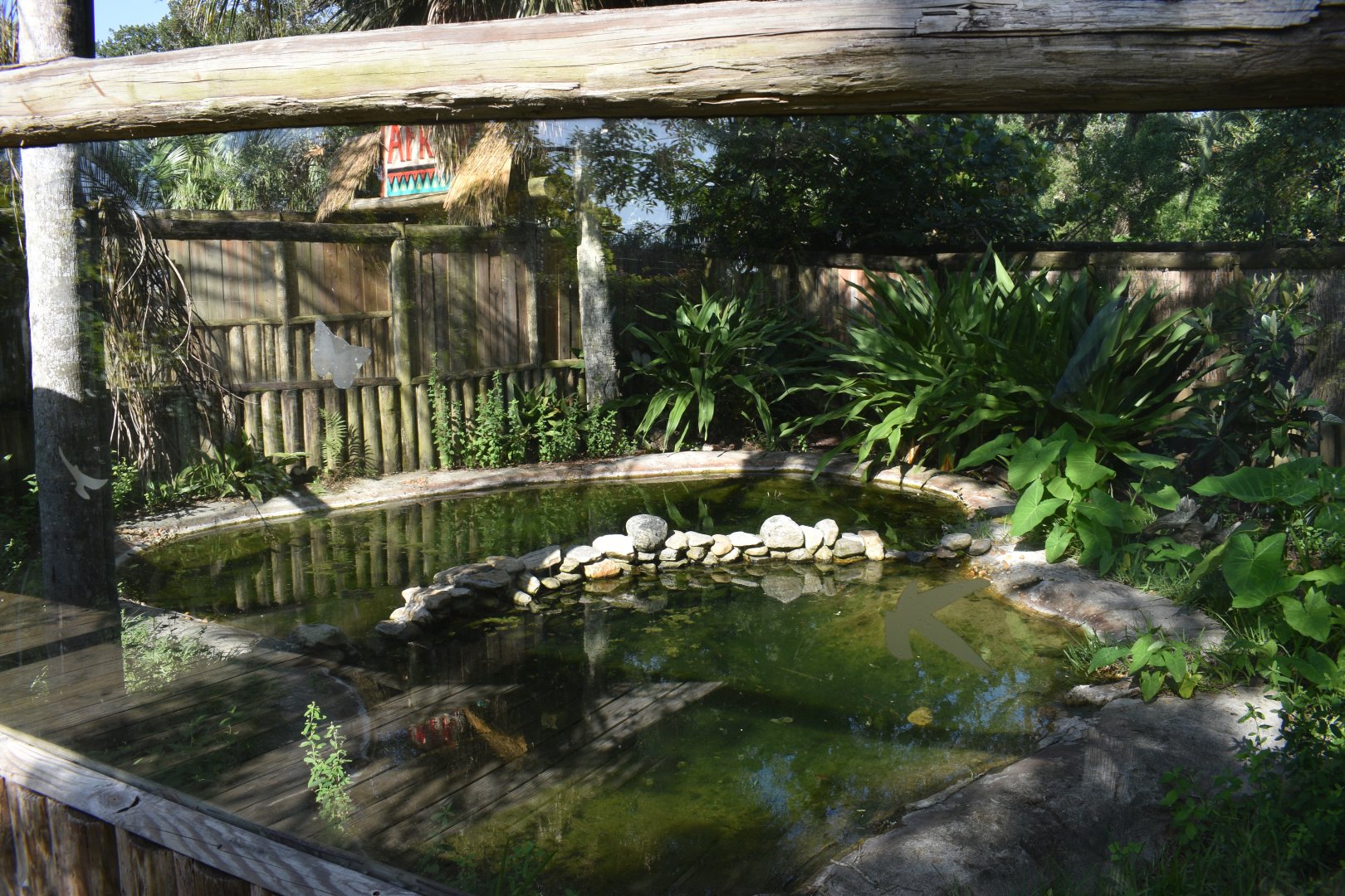 Jul. 2025 - Land of Crocodiles - Cuban Crocodile Exhibit