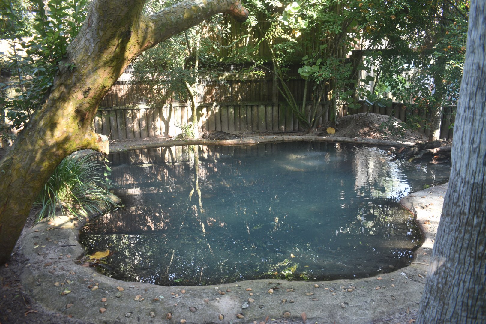 Jul. 2025 - Land of Crocodiles - Morelet's Crocodile Exhibit