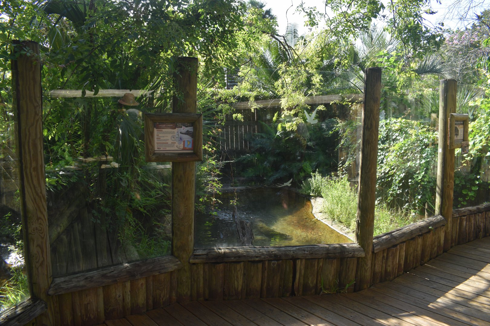 Jul. 2025 - Land of Crocodiles - Yacaré Caiman Exhibit