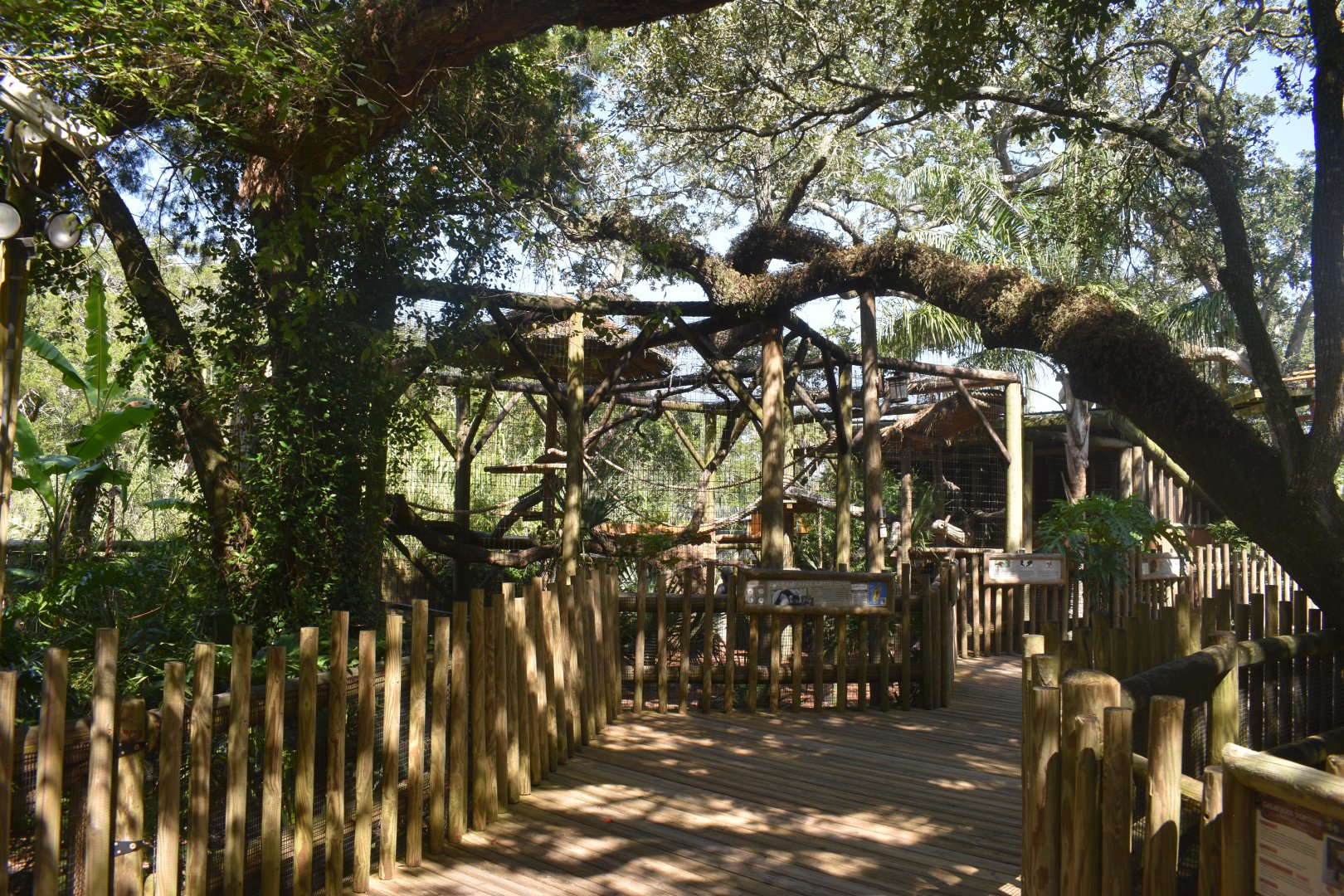 Jul. 2025 - Lemurs of Madagascar