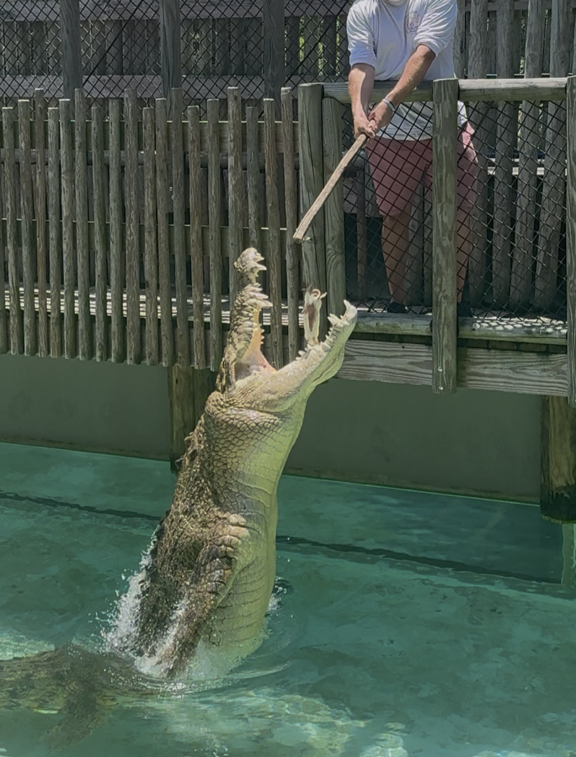 Jul. 2025 - MAXIMO & a ZooTuber