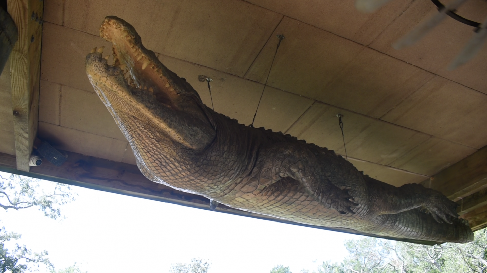 Jul. 2025 - Oasis on the Nile - Crocodile Statue