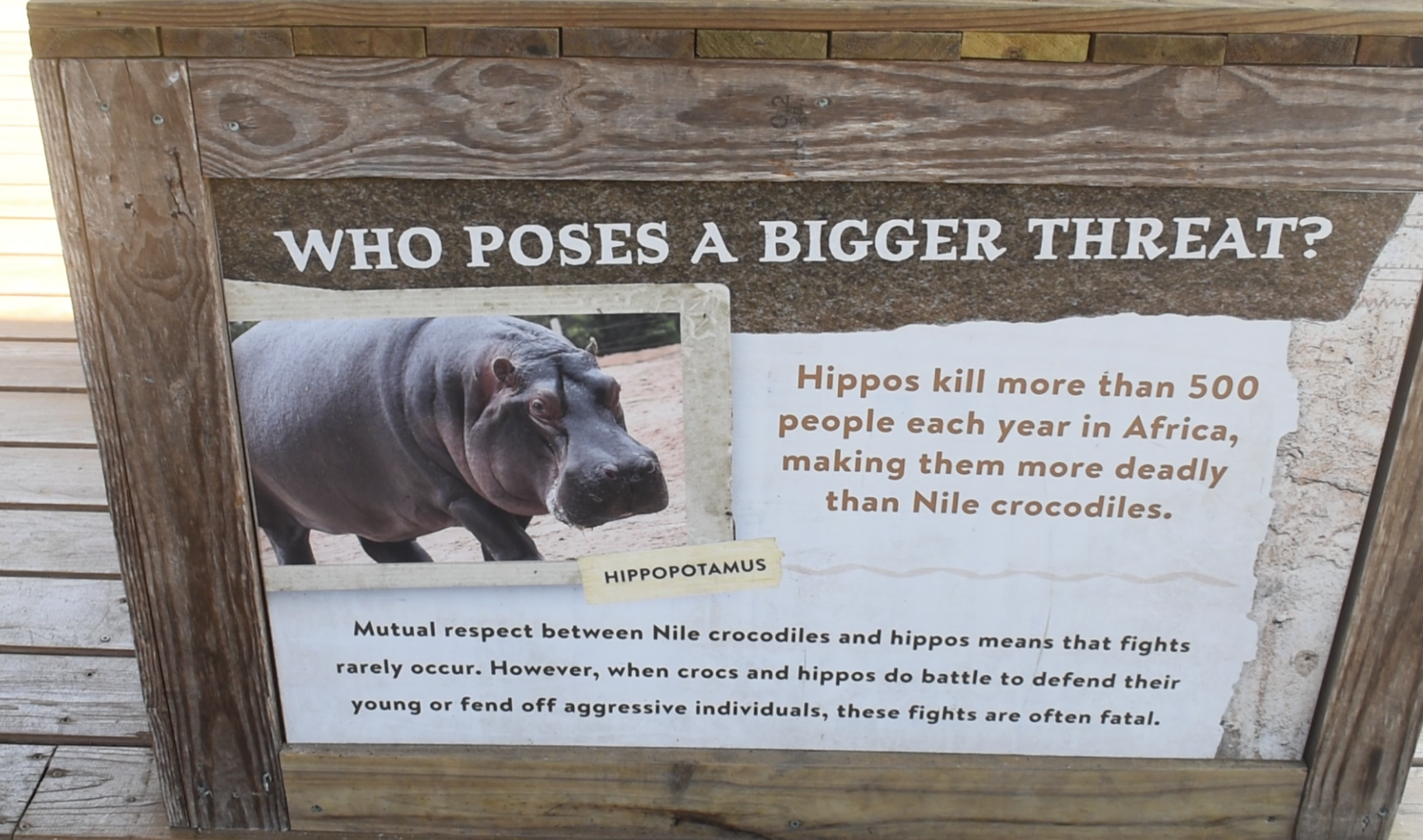 Jul. 2025 - Oasis on the Nile - Hippo Sign