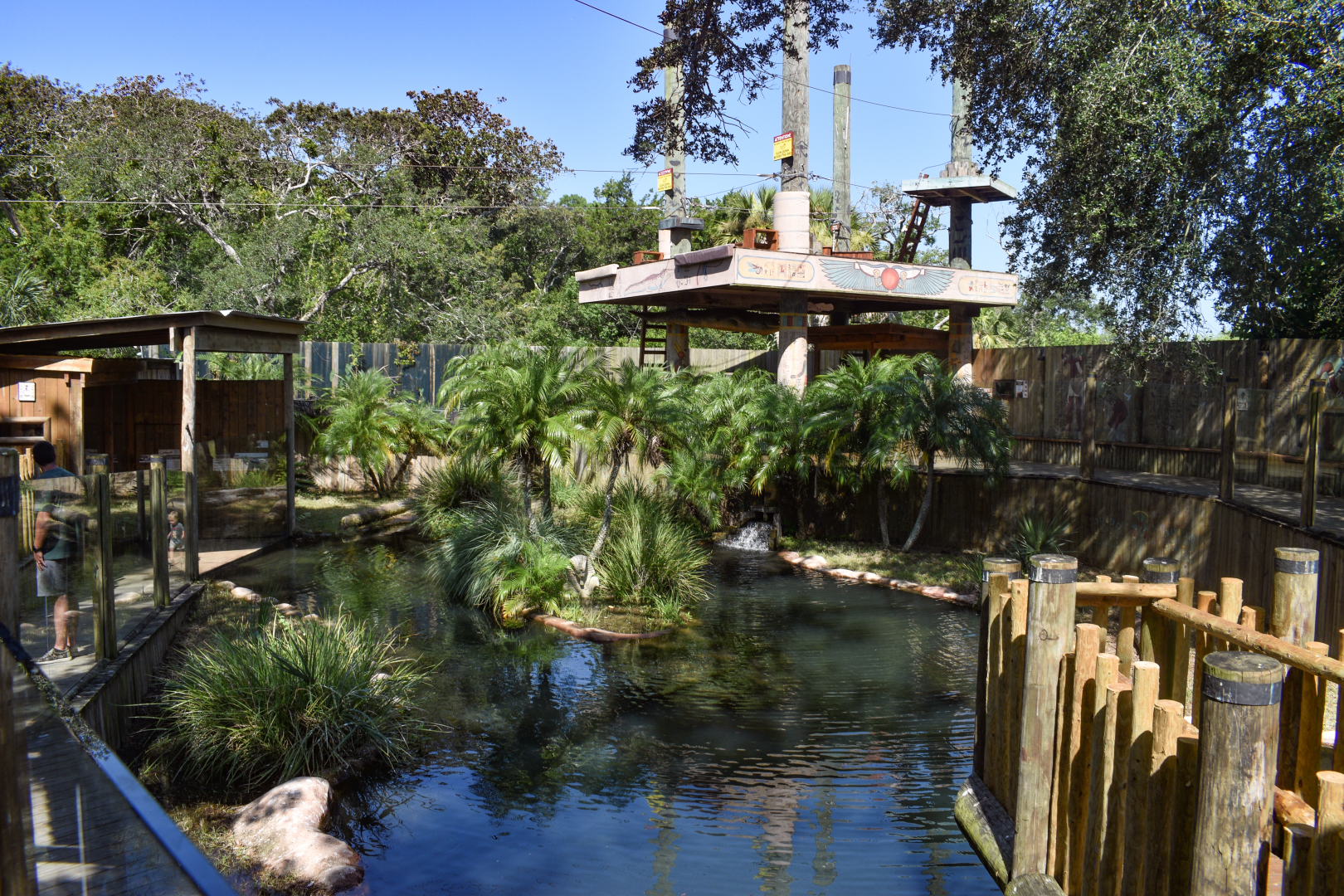 Jul. 2025 - Oasis on the Nile - Nile Crocodile Exhibit