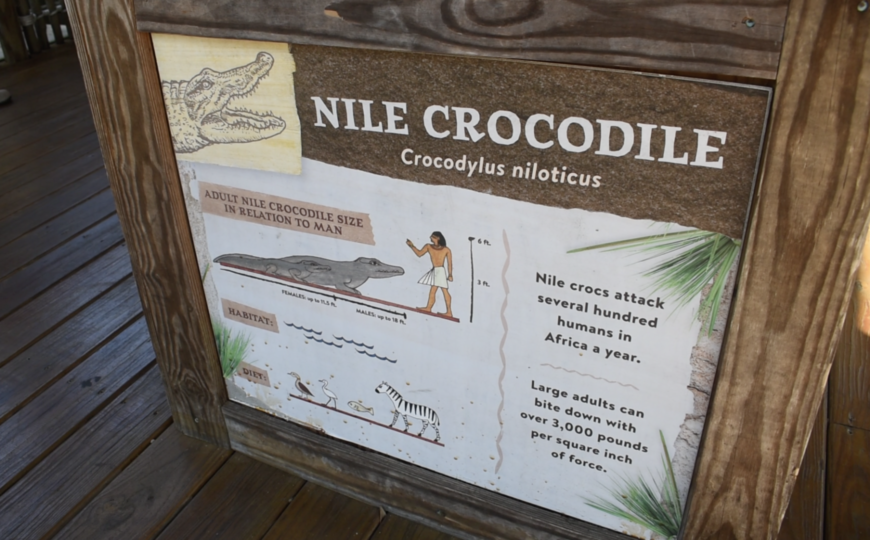 Jul. 2025 - Oasis on the Nile - Nile Crocodile Sign