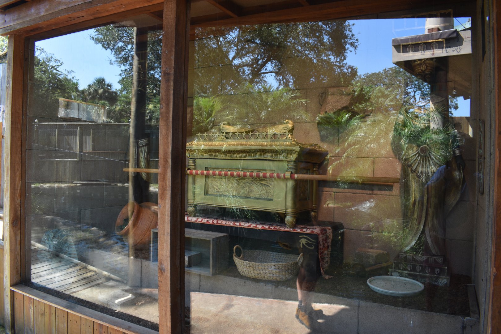 Jul. 2025 - Oasis on the Nile - Timor Python Exhibit