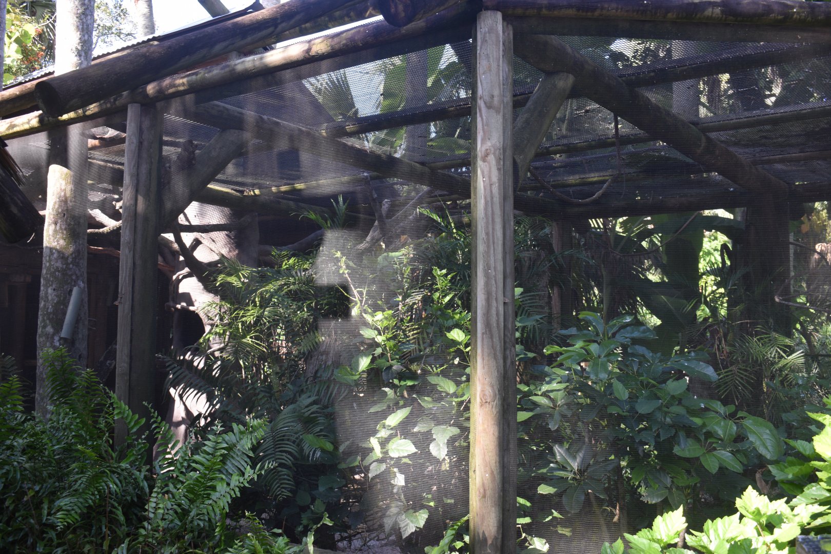 Jul. 2025 - Sloth + Others Exhibit