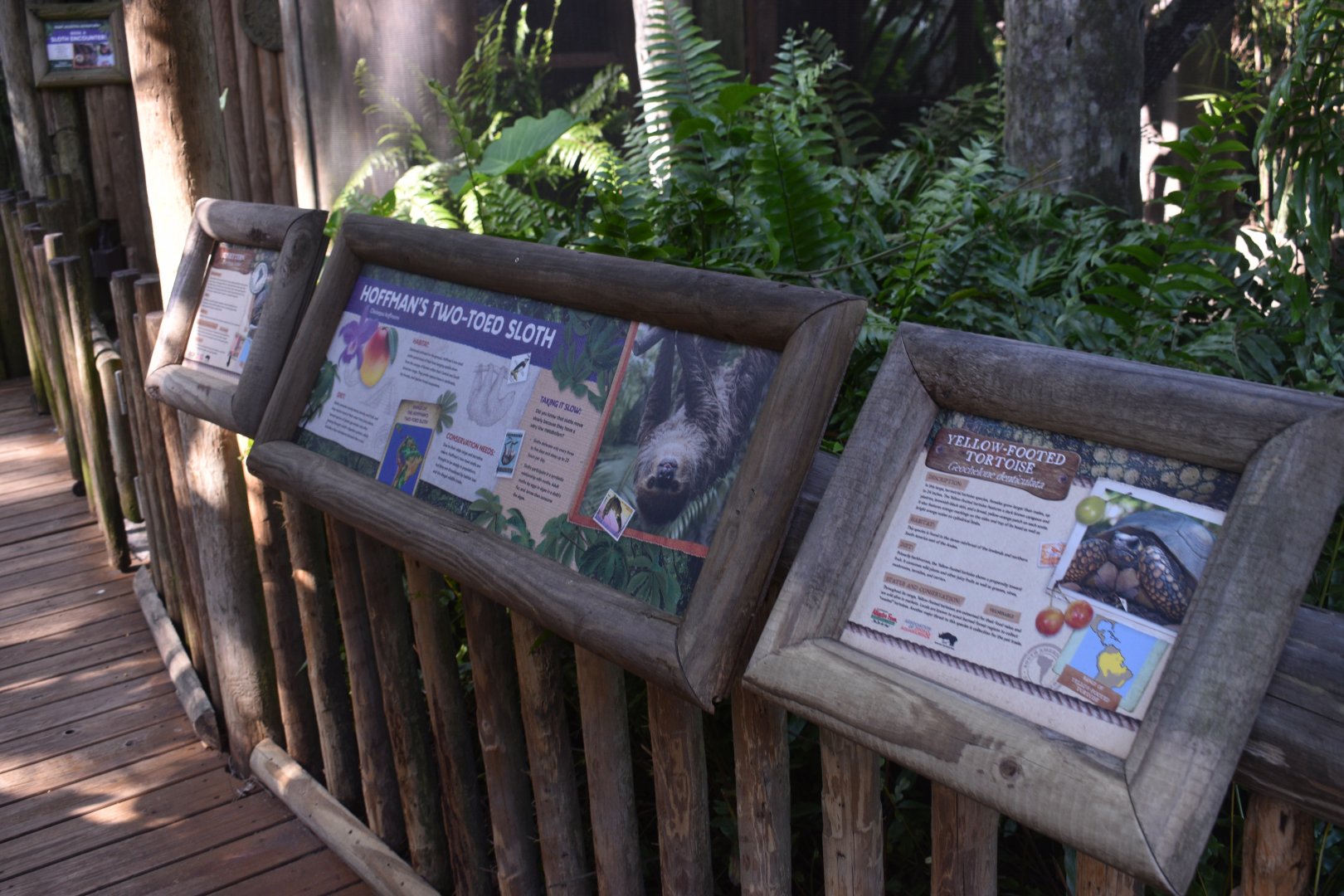 Jul. 2025 - Sloth + Others Signs