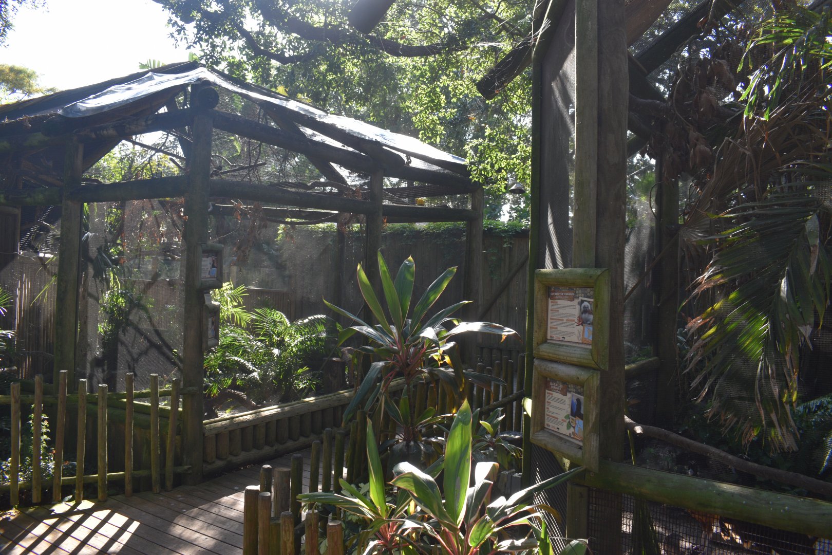 Jul. 2025 - Tamarin + Conure Exhibits