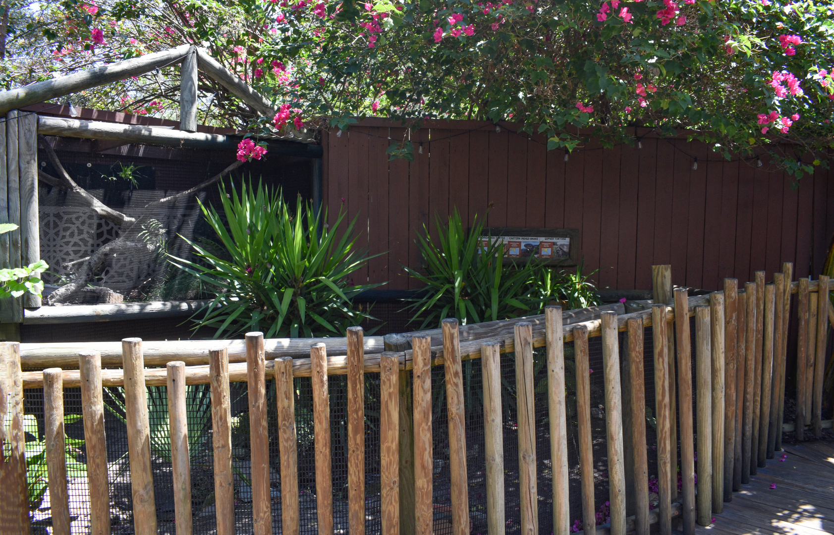 Jul. 2025 - Tortoise & Snake Exhibits