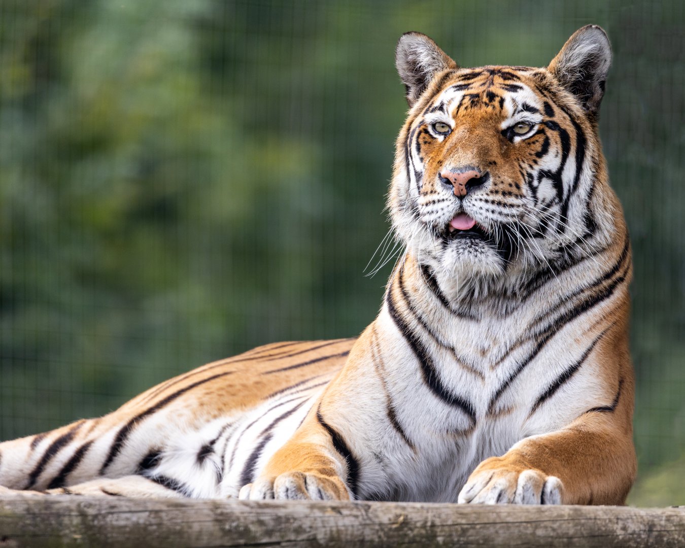 Julia  / Woodside Wildlife Park / 11-8-21