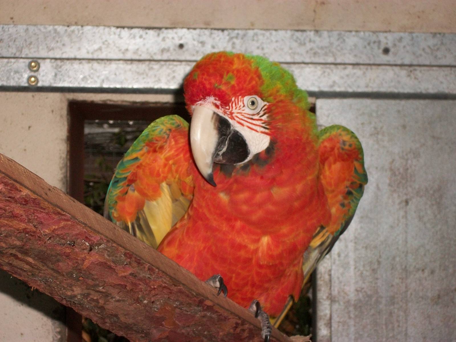 Julian, 9th June 2014