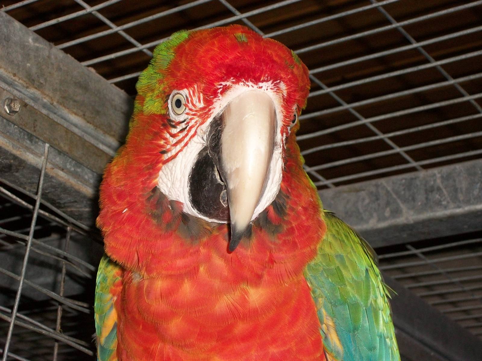 Julian, 9th June 2014